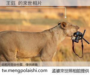 王鈺 來世的未來相片