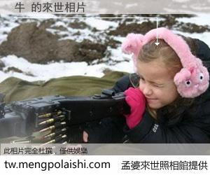 牛 來世的未來相片