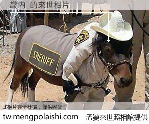 畿内 來世的未來相片