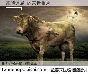 當時遠島 來世的未來相片
