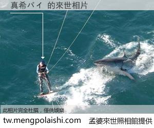 真希パイ 來世的未來相片