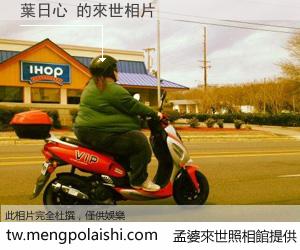 葉日心 來世的未來相片