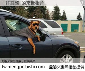 許慈愍 來世的未來相片