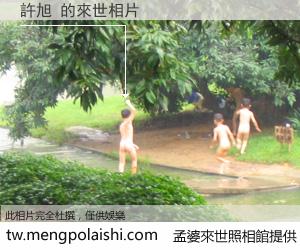 許旭 來世的未來相片