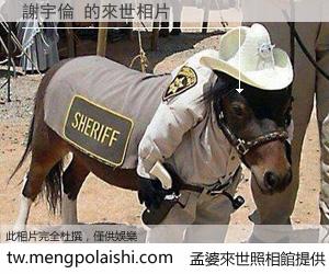 謝宇倫 來世的未來相片