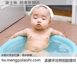 谢士彬 來世的未來相片