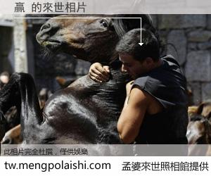 贏 來世的未來相片