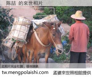 陈喆 來世的未來相片