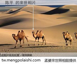 陈平 來世的未來相片