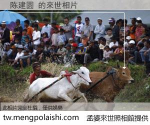 陈建圆 來世的未來相片