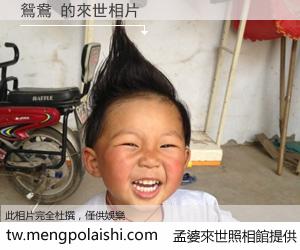 鴛鴦 來世的未來相片