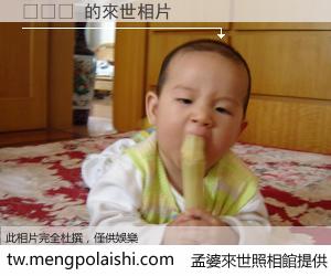 덴티움 來世的未來相片