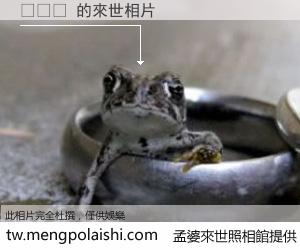 페라라 來世的未來相片