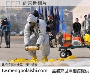 호바바 來世的未來相片