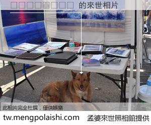 🇦🇹 來世的未來相片