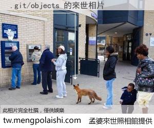 .git/objects 來世的未來相片