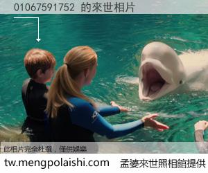 01067591752 來世的未來相片