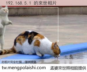 192.168.5.1 來世的未來相片