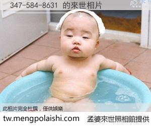 347-584-8631 來世的未來相片