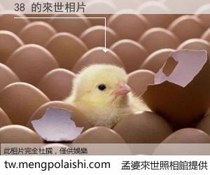 38 來世的未來相片