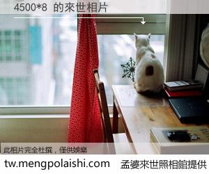 4500*8 來世的未來相片