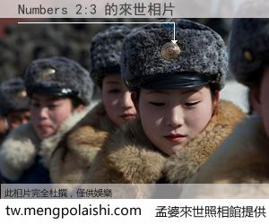 Numbers 2:3 來世的未來相片