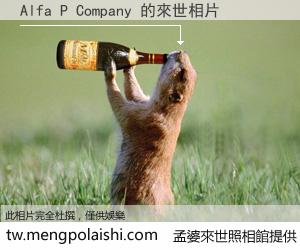 Alfa P Company 來世的未來相片
