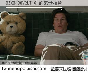 BZX84C8V2LT1G 來世的未來相片