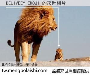 DELIVEEY EMOJI 來世的未來相片