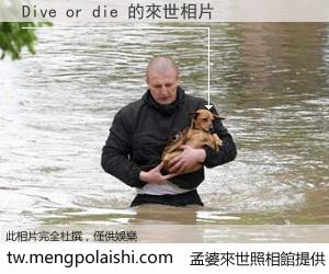 Dive or die 來世的未來相片
