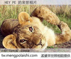 HEY PE 來世的未來相片