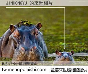 JINHONGYU 來世的未來相片