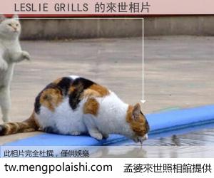 LESLIE GRILLS 來世的未來相片