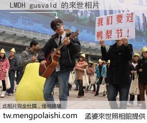 LMDH gusvald 來世的未來相片