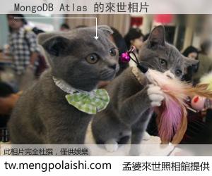 MongoDB Atlas 來世的未來相片