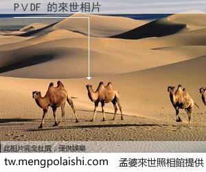 PＶDF 來世的未來相片