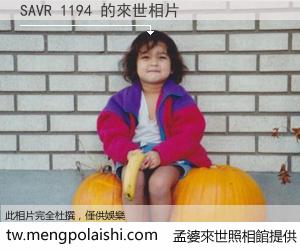 SAVR 1194 來世的未來相片