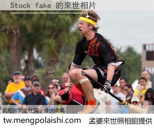 Stock fake 來世的未來相片