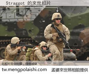 Straggot 來世的未來相片