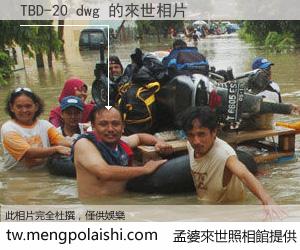 TBD-20 dwg 來世的未來相片