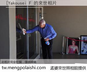 [Yakousei F 來世的未來相片