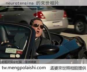 neurotensina 來世的未來相片