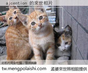 ajcention 來世的未來相片