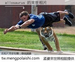 allosaurus 來世的未來相片