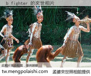 b fighter 來世的未來相片
