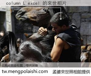 column L excel 來世的未來相片