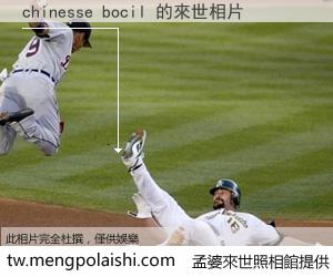 chinesse bocil 來世的未來相片