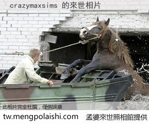 crazymaxsims 來世的未來相片