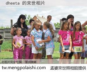 dheeta 來世的未來相片