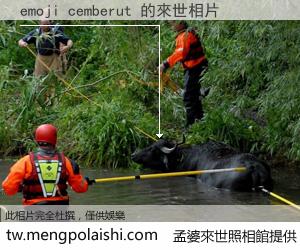 emoji cemberut 來世的未來相片